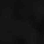 delicioso plato de tallarines con cerdo