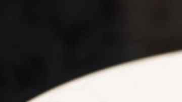 delicioso plato de tallarines con cerdo