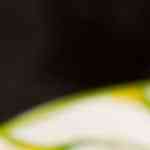 tarta de galletas maria casera