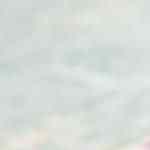 estofado de cerdo listo