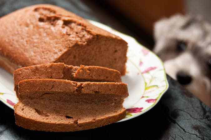 bizcocho de chocolate perrito