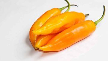 aji amarillo peruano