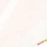 lomo de cerdo al horno