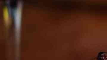 pan de jamón venezolano para navidad