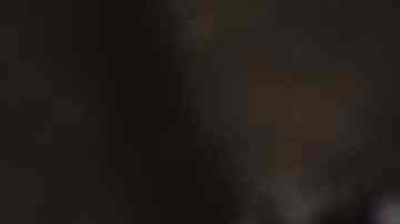 como hacer galletas de avena caseras