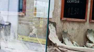 como desalar bacalao