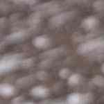 ensalada de garbanzos