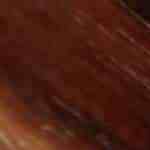 plato de espaguetis con salsa carbonara