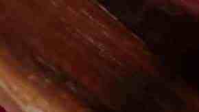 plato de espaguetis con salsa carbonara