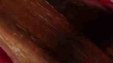 plato de espaguetis con salsa carbonara