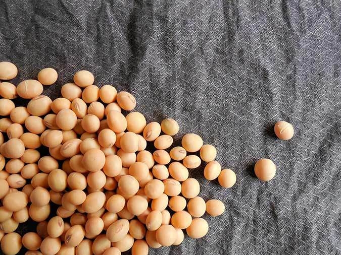 Grano de soja sin procesar