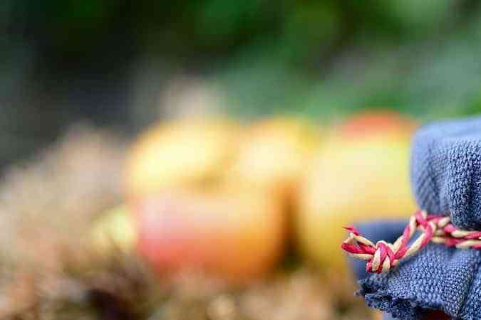 como hacer mermelada de manzana