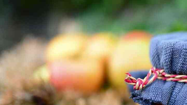 como hacer mermelada de manzana