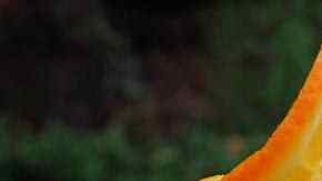 receta bizcocho de naranja casero