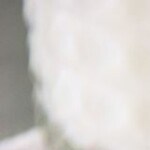 galletas con chispas de chocolate