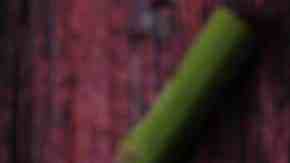 crema de espárragos