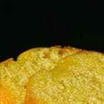 bizcocho de yogur de limon