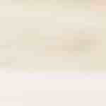 codillo asado al horno