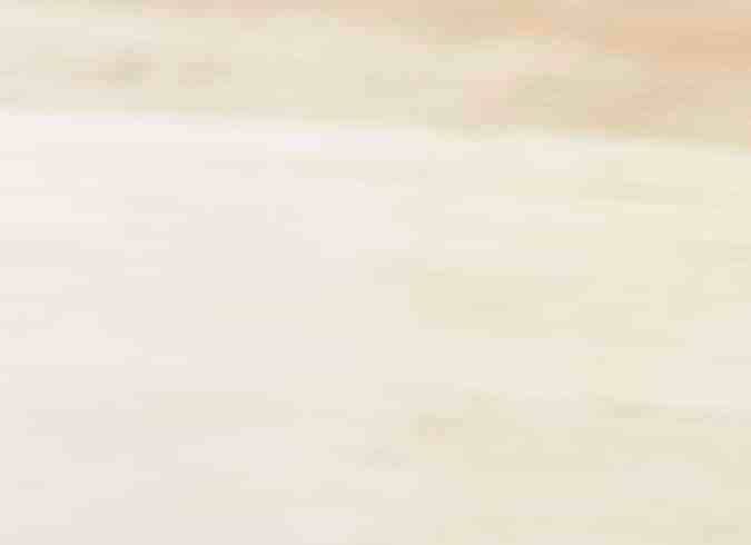 codillo asado al horno