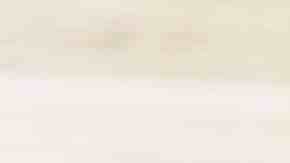 codillo asado al horno