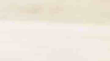 codillo asado al horno