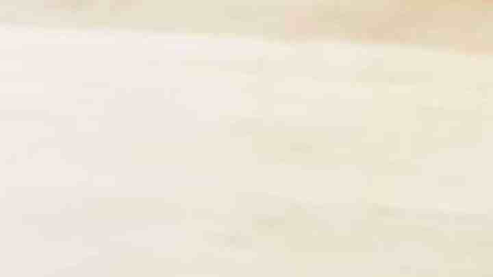 codillo asado al horno