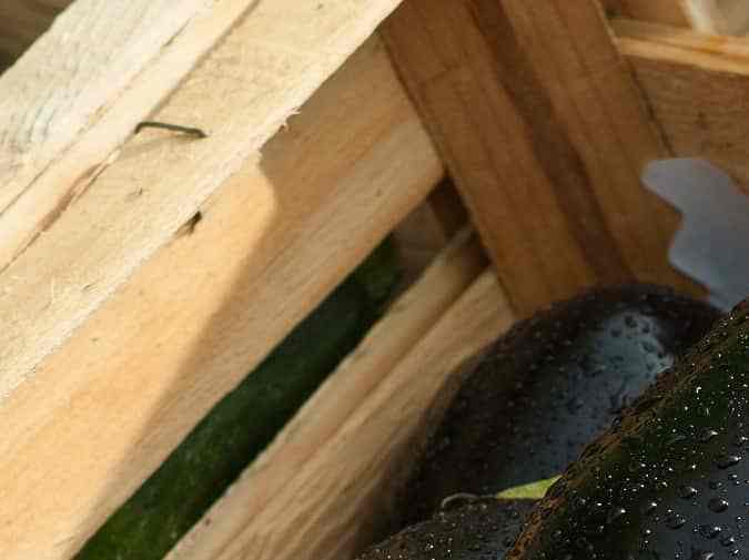 ensalada de berenjenas