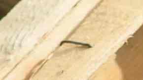 ensalada de berenjenas