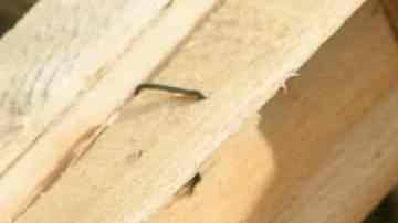 ensalada de berenjenas