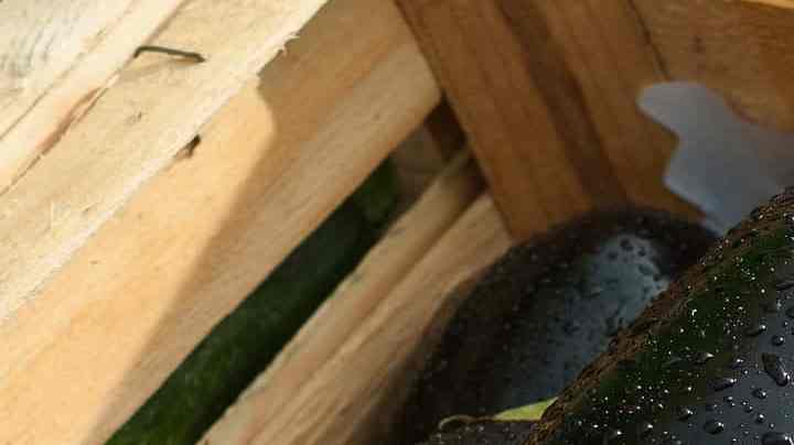 ensalada de berenjenas