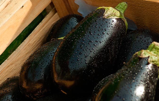 ensalada de berenjenas