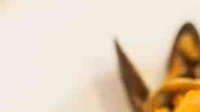 restaurante tu pasta madrid