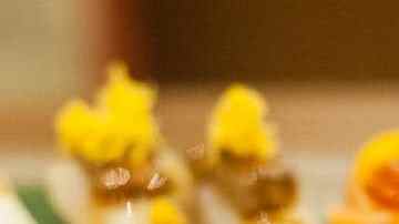 sushi restaurante ikigai madrid