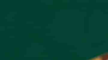 Ensalada por Pixabay