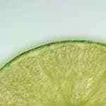 enchiladas de pollo mexicanas