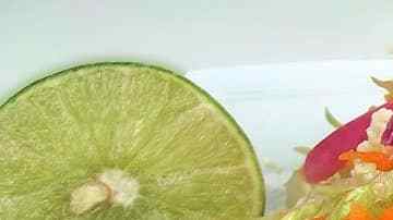 enchiladas de pollo mexicanas