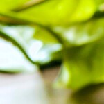 Photo © 2019 The Grosby Group
Mole Poblano