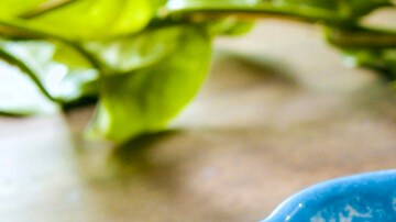 Photo © 2019 The Grosby Group

Mole Poblano