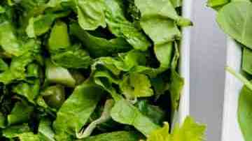 recetas bajas en calorias