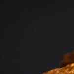 bizcocho de zanahoria casero