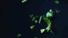 pechuga de pollo asada