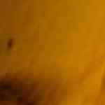 pastel de zanahoria receta