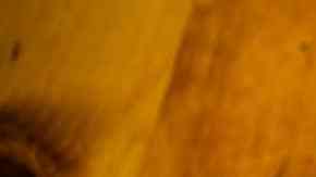 pastel de zanahoria receta