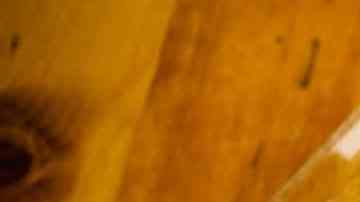 pastel de zanahoria receta