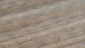 Pollo agridulce por Pixabay