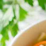 plato con ensalada de col