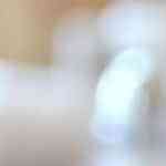 ceviche de camarones