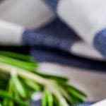 calamares encebollados servidos en un plato bañados en salsa