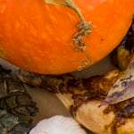 plato con pipian mexicano