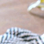 Photo © 2019 The Grosby Group

Pan de Muertos